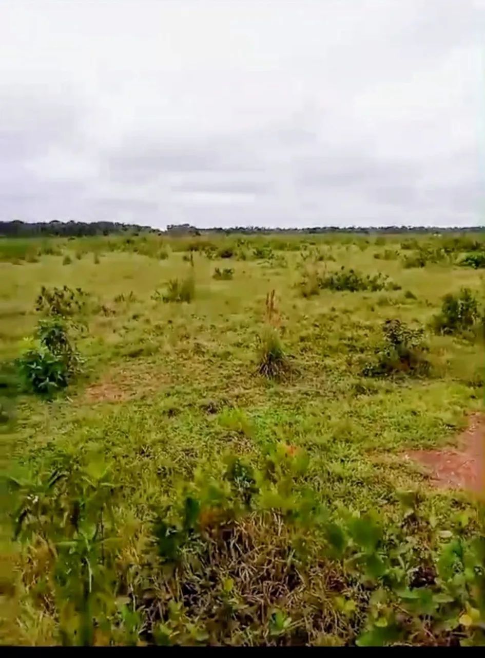 OPORTUNIDADE DE INVESTIMENTO NA BR-230 AMAZONAS - Foto 2