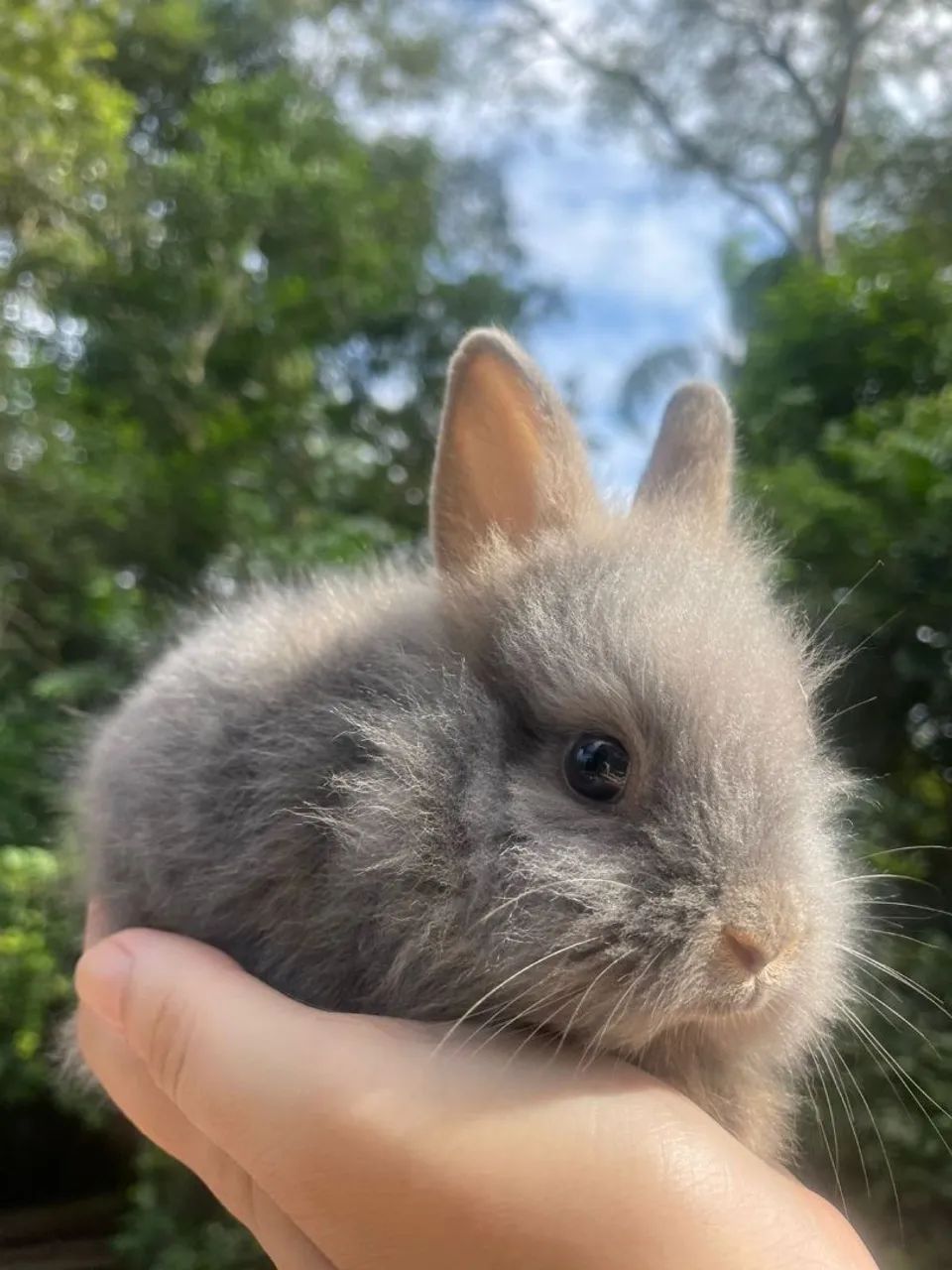Mini fofuras para páscoa  - Foto 4
