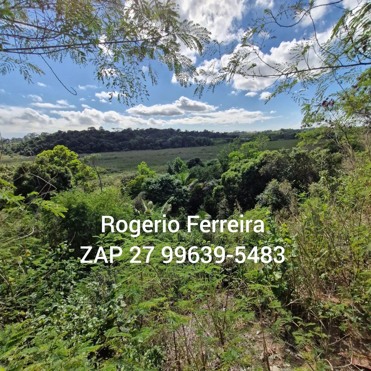 Excelente Chácara Retiro Congo Fundos para o brejo! - Foto 3