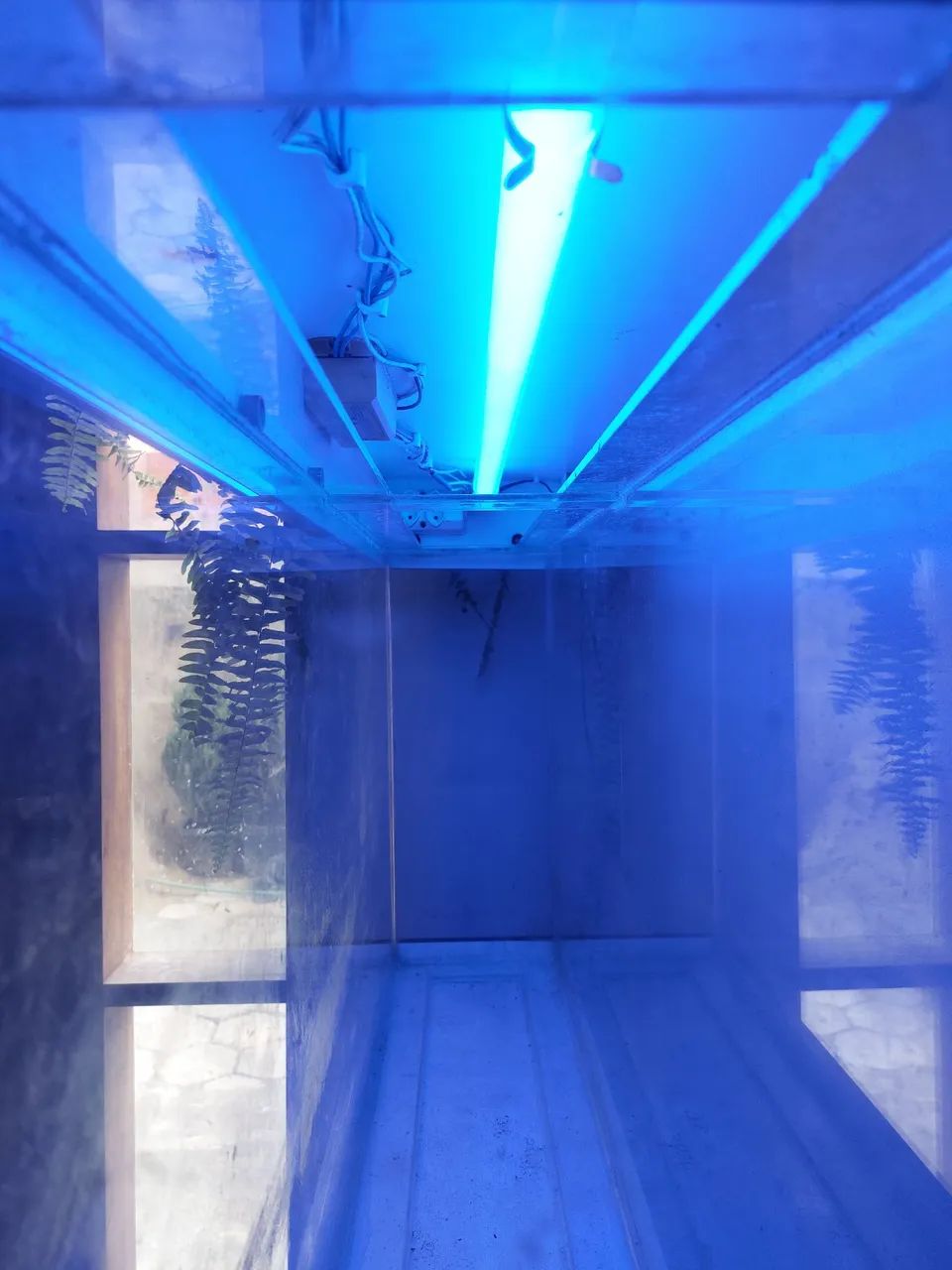 AQUÁRIO COMPLETO COM LED - Foto 6