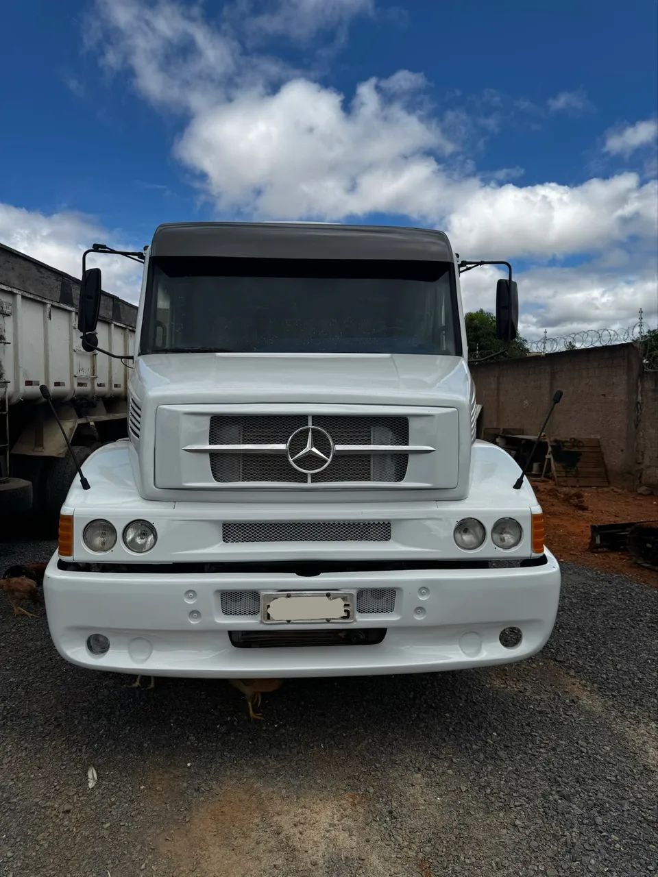 Cavalinho 1634 - Foto 2