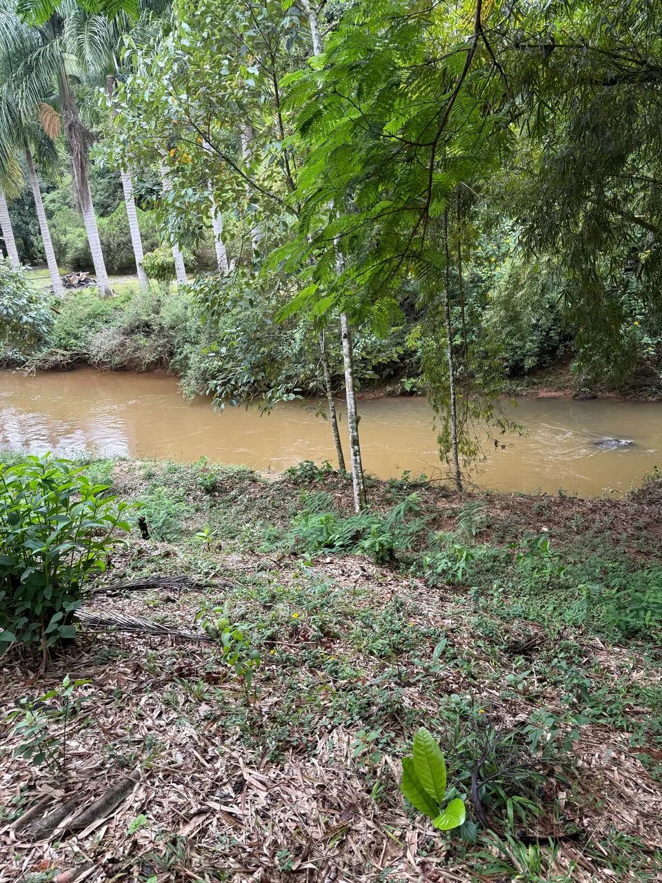 MARECHAL FLORIANO - Chácara / Terreno com Riacho passando dentro. - Foto 2