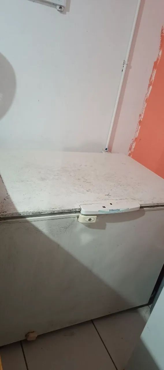Freezer horizontal