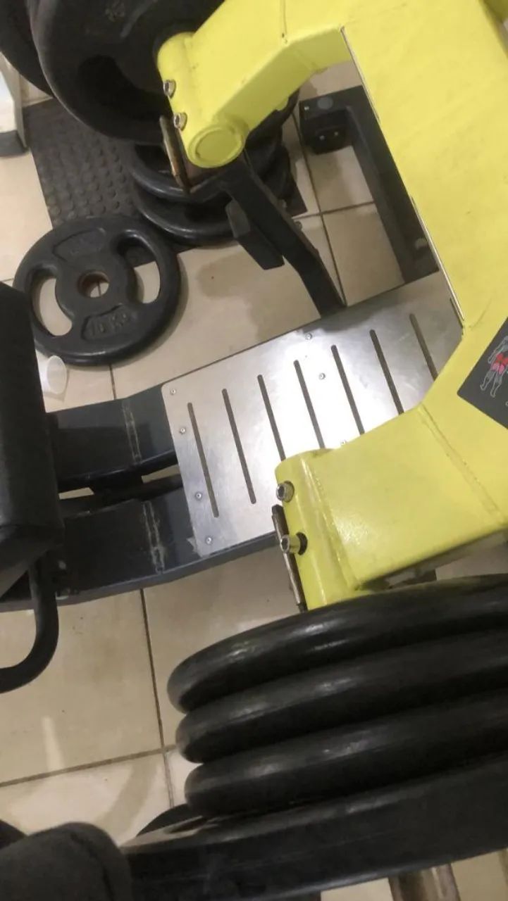 ACADEMIA e Musculação 