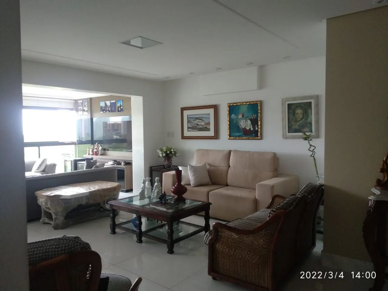 Pintor Profissional 