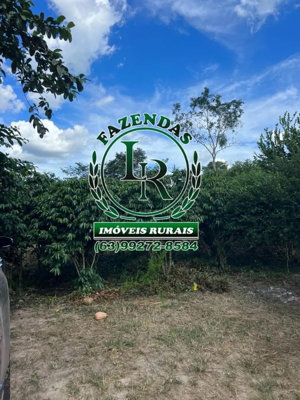 Fazenda  Dupla Aptidão 348 Hectares Região Almas - Foto 2