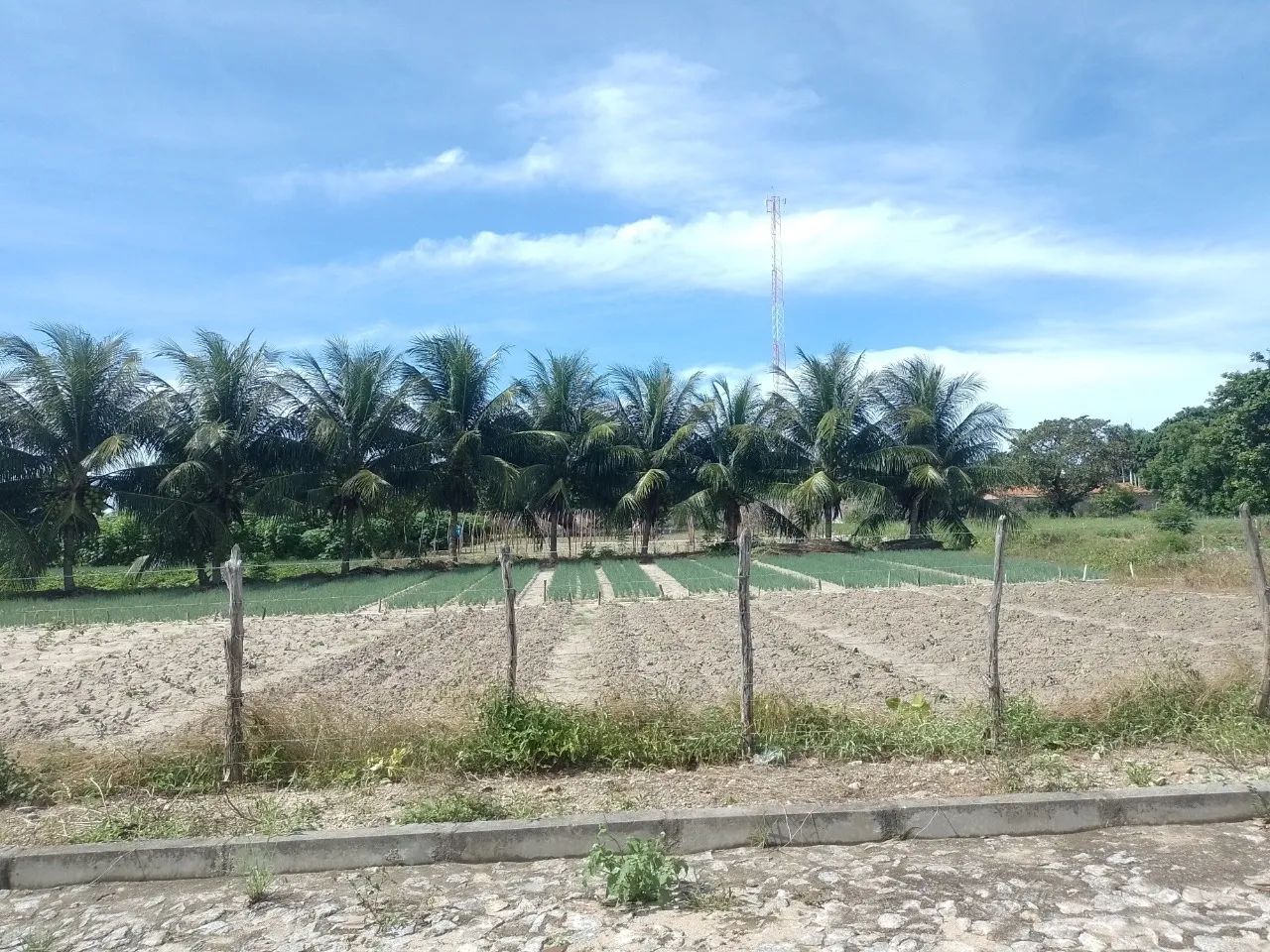 Terreno à venda proximo a CE-010, Encantada, Eusébio