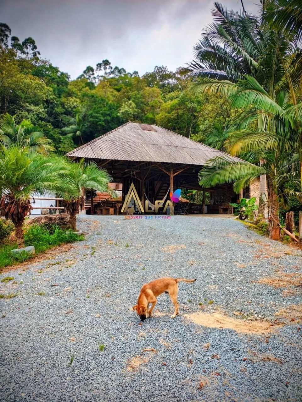 VENDO SITIO COM MORADIA OU AIRBNB - Foto 2