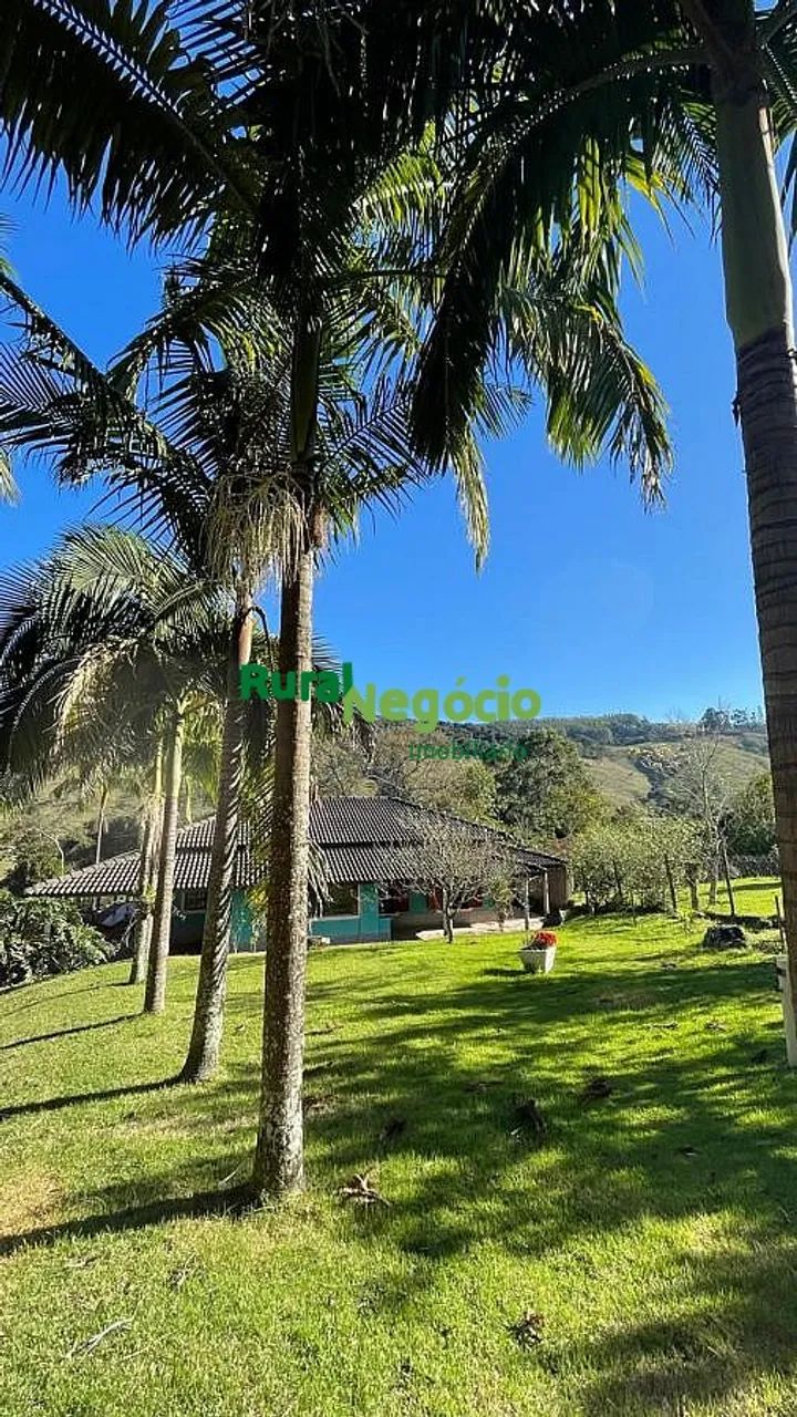 SÍTIO COM ACESSO Á REPRESA EM NATIVIDADE DA SERRA-SP - Foto 3
