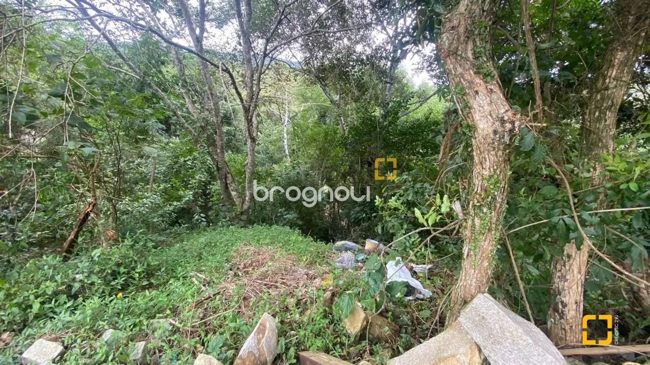 Brognoli Vende - Sitio com 3 Hectares na na Vargem Grande - Foto 3