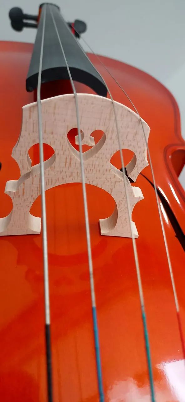 Violoncelo 4/4 Giannini - Foto 4