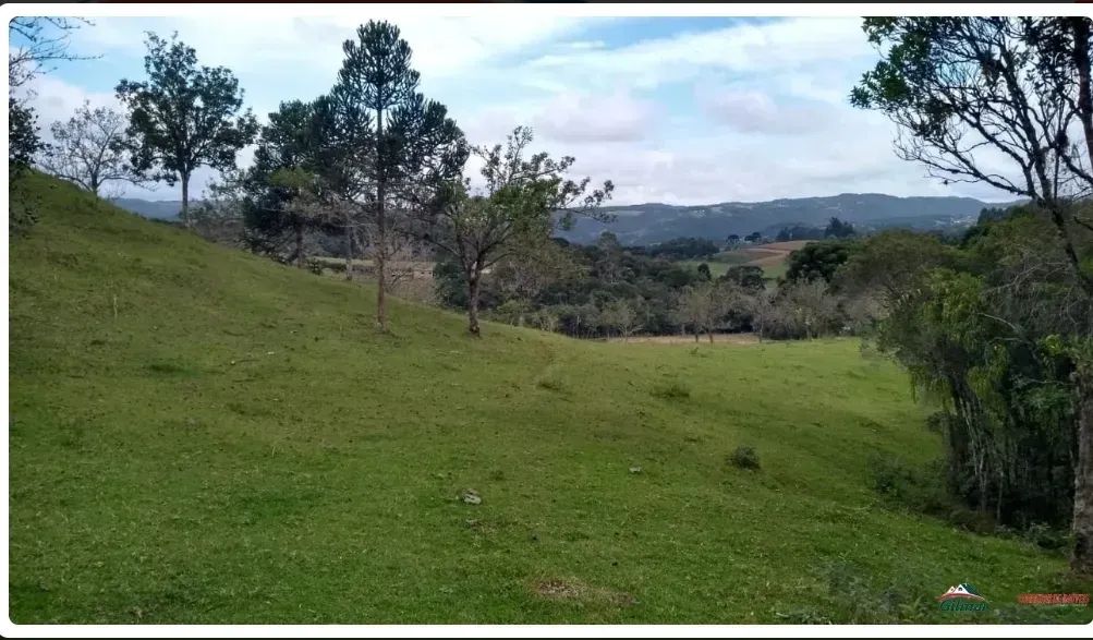 Sitio em Rancho Queimado - SC - Foto 3