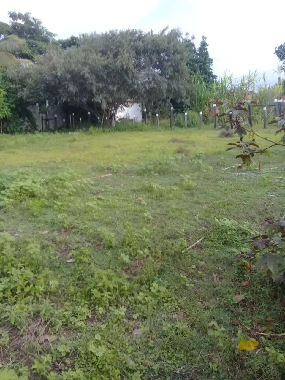 Chácara Encontro das Águas - Foto 5