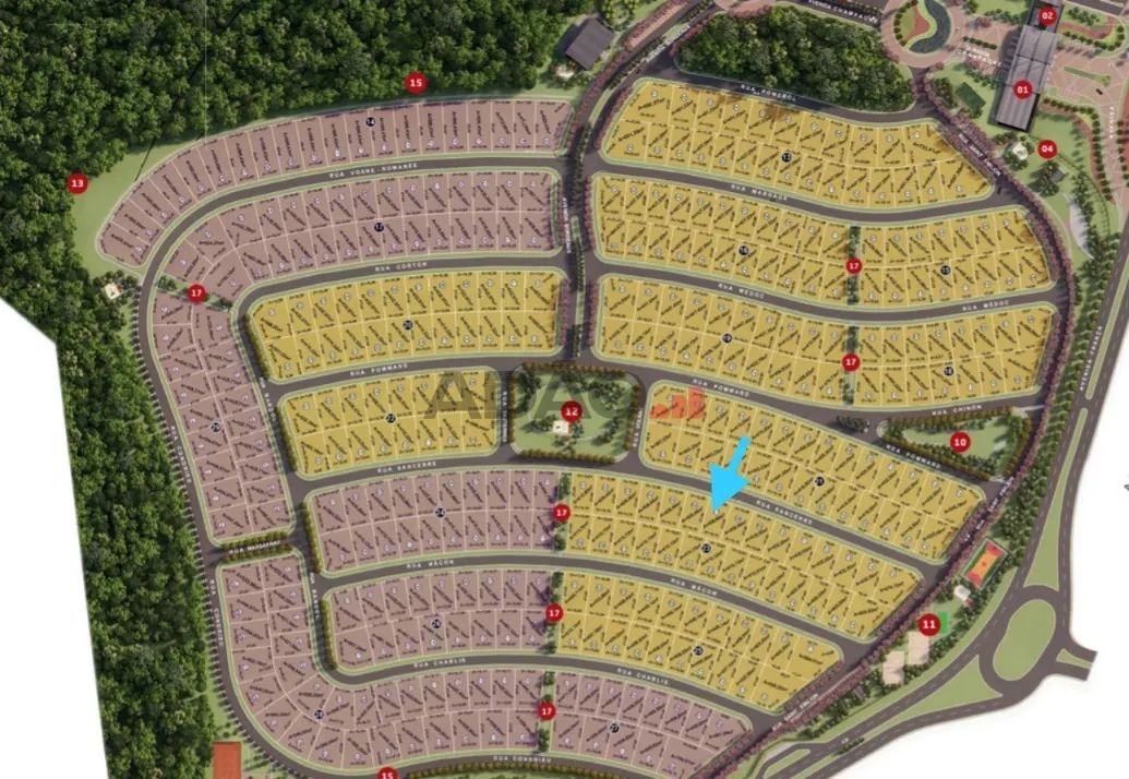 Lote 405m² Jardins França - Foto 4