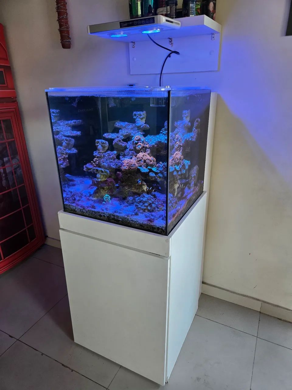 Aquário Marinho Completo 