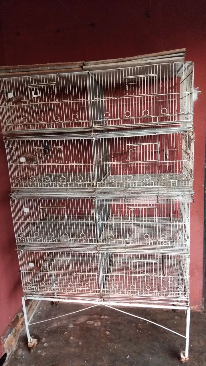 Voadeira para Pássaros  - Foto 3