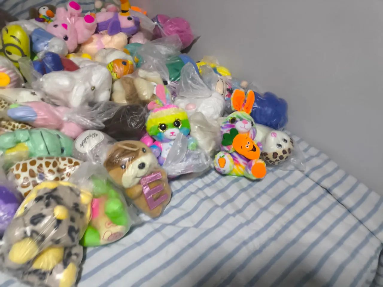 Urso  - Foto 3