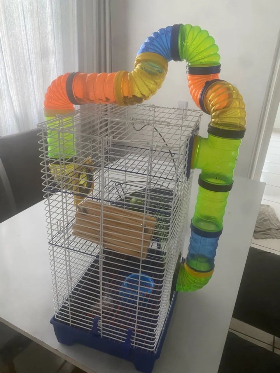 Gaiola hamster  - Foto 4