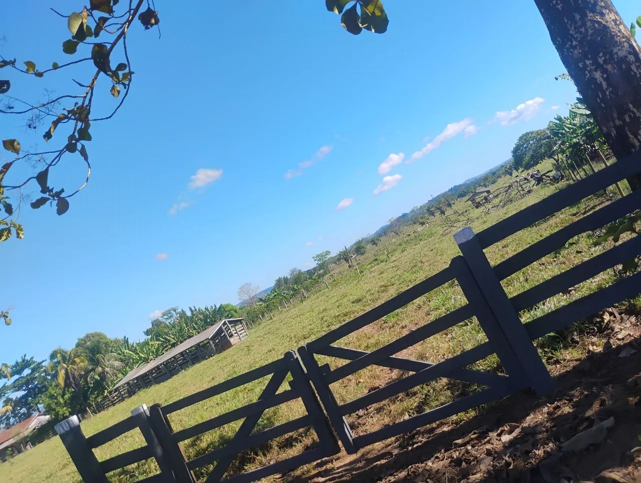 Chácara a venda  - Foto 3