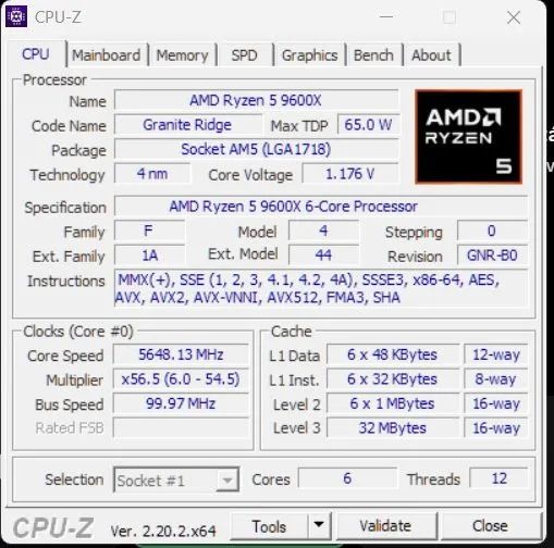 Ryzen 5 9600x