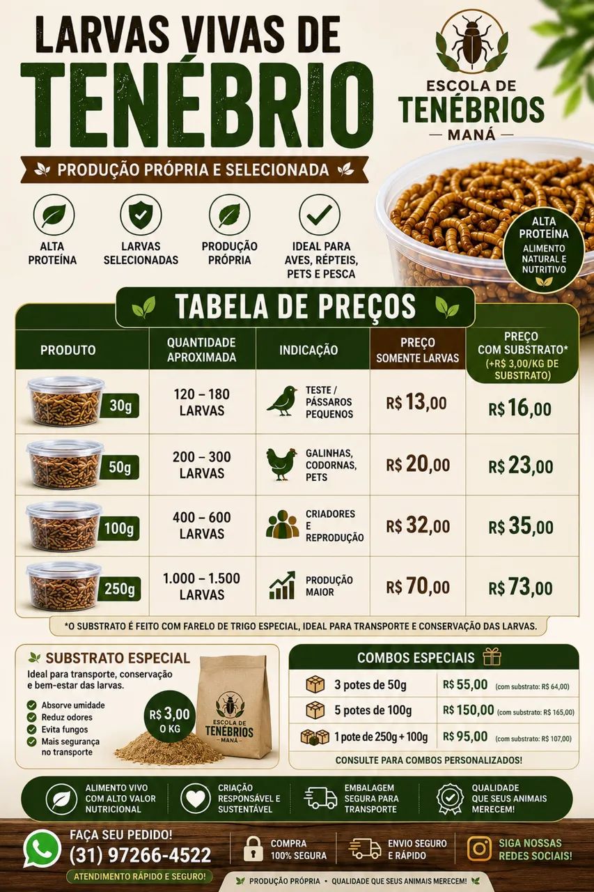 Larvas de Tenébrio  - Foto 4