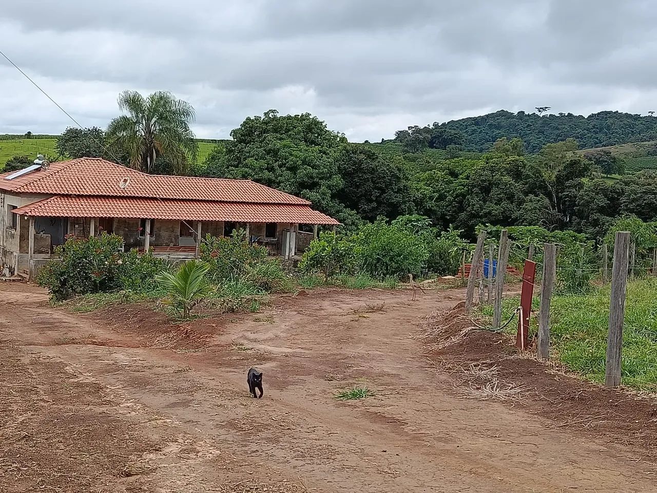 Venda de Chacara