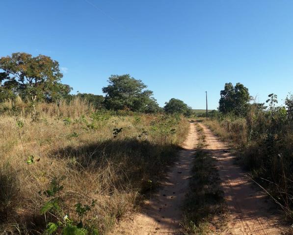 Vendo chacara na estrada manso, 7 hec, r$ 90 mil, pego carro - Foto 7