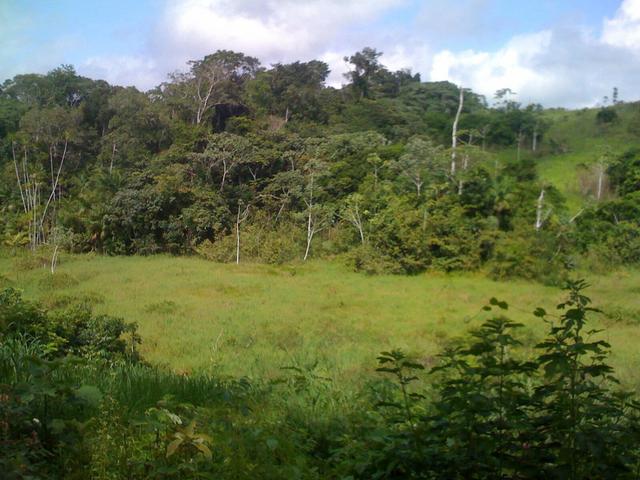 Zé Doca - Maranhão: Vendo Propriedade Rural - Foto 4