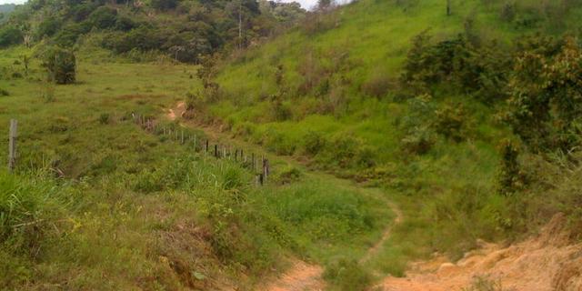 Zé Doca - Maranhão: Vendo Propriedade Rural - Foto 20