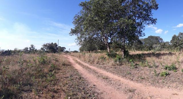 Vendo chacara na estrada manso, 7 hec, r$ 90 mil, pego carro - Foto 4