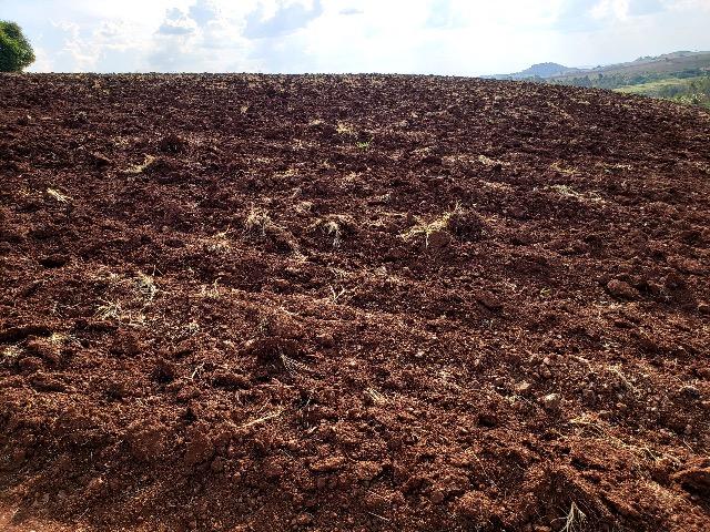 Sítio em Abatiá, Norte Pioneiro do Paraná (54.450 m2) - Foto 6