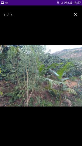Terreno em Santa Rita de Minas