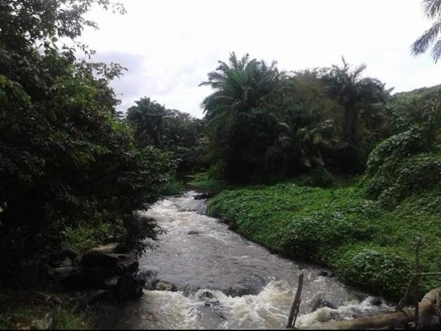 Três terrenos 500m2 cada. Ambiente Ecológico Barra de Pojuca Camaçari - Foto 5