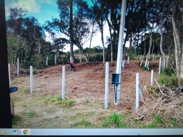 Terreno em S.J.Pinhais - Foto 5