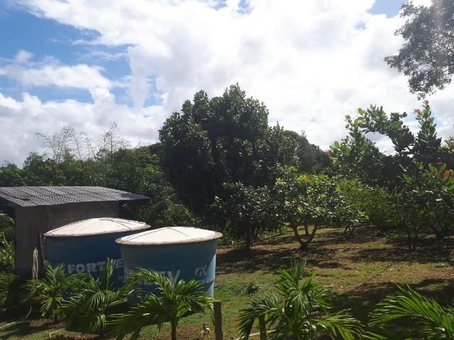 Sítio em Barra do Pojuca 9100m² - Foto 14