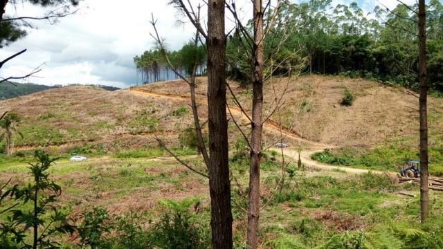Sítio com área 183.477m², nascente, muita natureza, privacidade. Confira - Foto 14