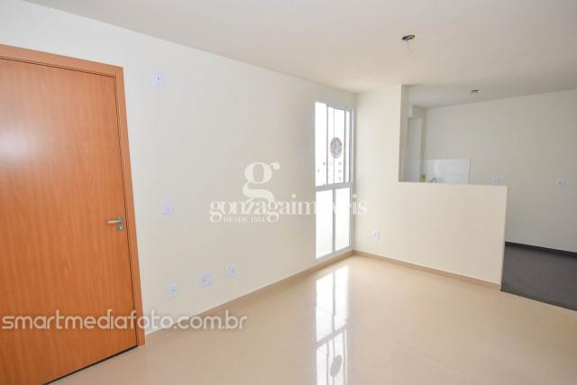 Apartamento para alugar com 2 dormitórios em Pinheirinho, Curitiba cod:63305001 - Foto 3