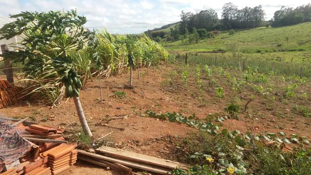 Torro chacara em siqueira canpos - Foto 7