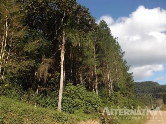 Chácara no ribeirão do zinco