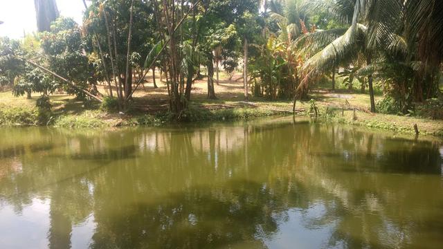 Vendo uma chácara, no antigo Vinhais - Foto 19