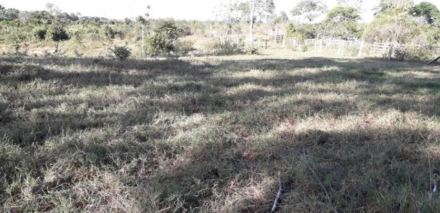 Fazenda em Roraima na BR210 - Caroebe - Foto 10