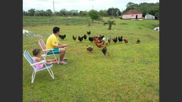 Propriedade rural - Foto 8