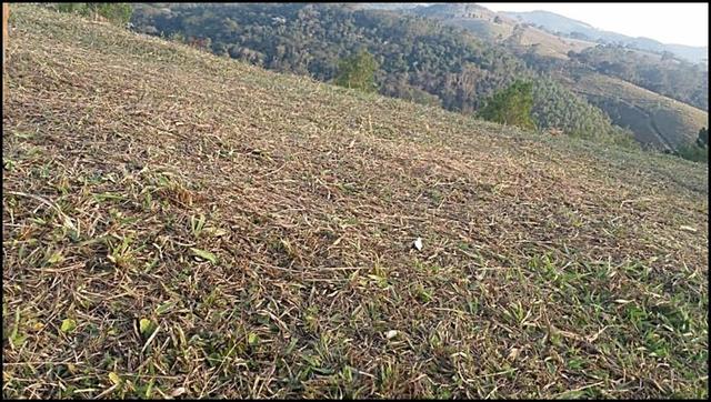 Vendo um lindo terreno de 600m2, próximo há - Foto 2