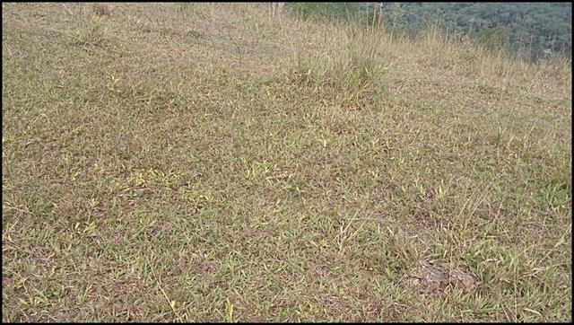 Vendo um lindo terreno de 600m2, próximo há