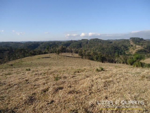 Chácara à venda com 0 dormitórios em Serra alta, São bento do sul cod:194CH - Foto 14