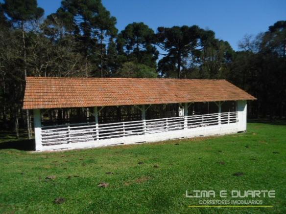 Chácara à venda com 3 dormitórios em Avencal do rio negro, Campo alegre cod:187CH - Foto 2
