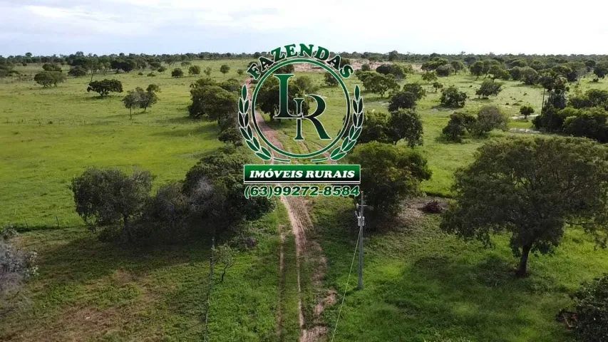 Fazenda Plana100 Alqueires Beira do Asfalto Tocantins - Foto 3