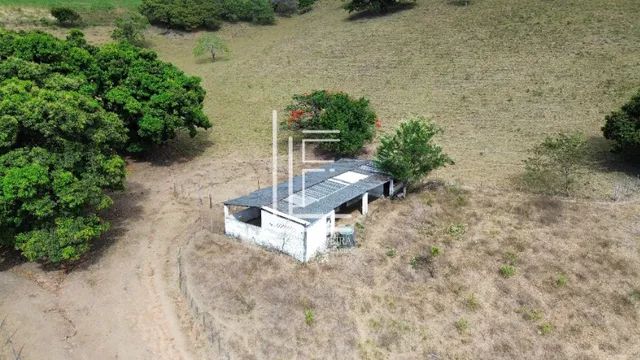 Fazenda completa de 14 hectares em União dos Palmares-AL - Foto 5