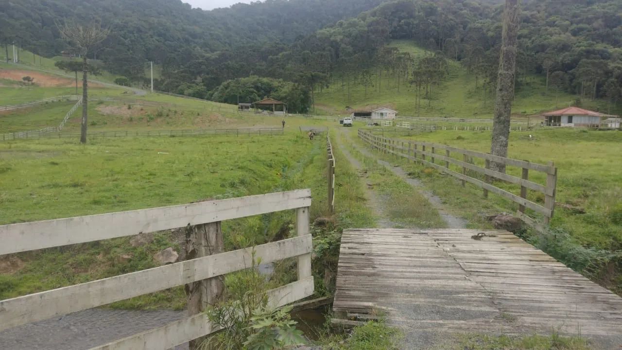 Sítio dos sonhos na serra catarinense  - Foto 4