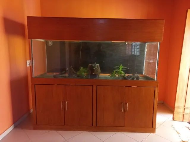 Aquário com móvel e decoração semi completo - Foto 3